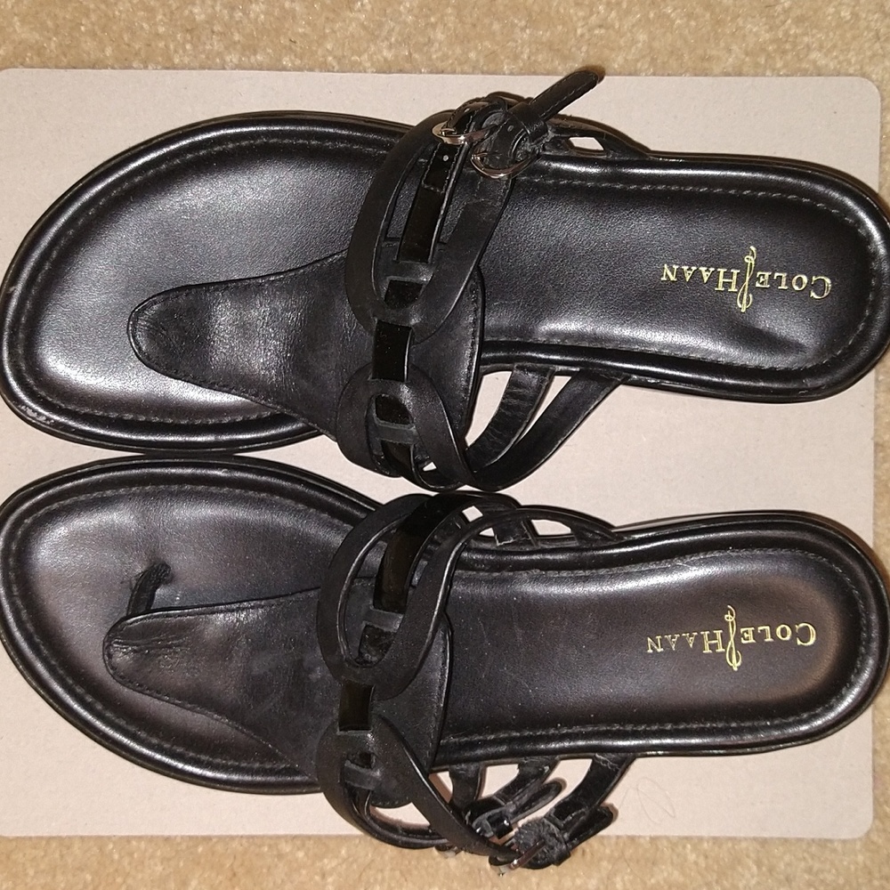 Cole Haan Nike Air Sandals